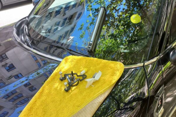 Ремонт тріщин автоскла: ціна у Києві та фактори, що впливають на вартість